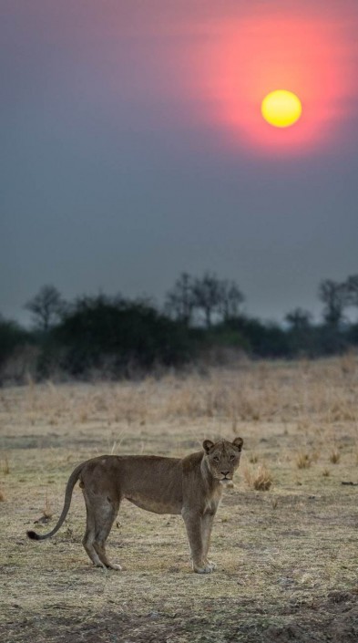 © Robin Pope Safaris