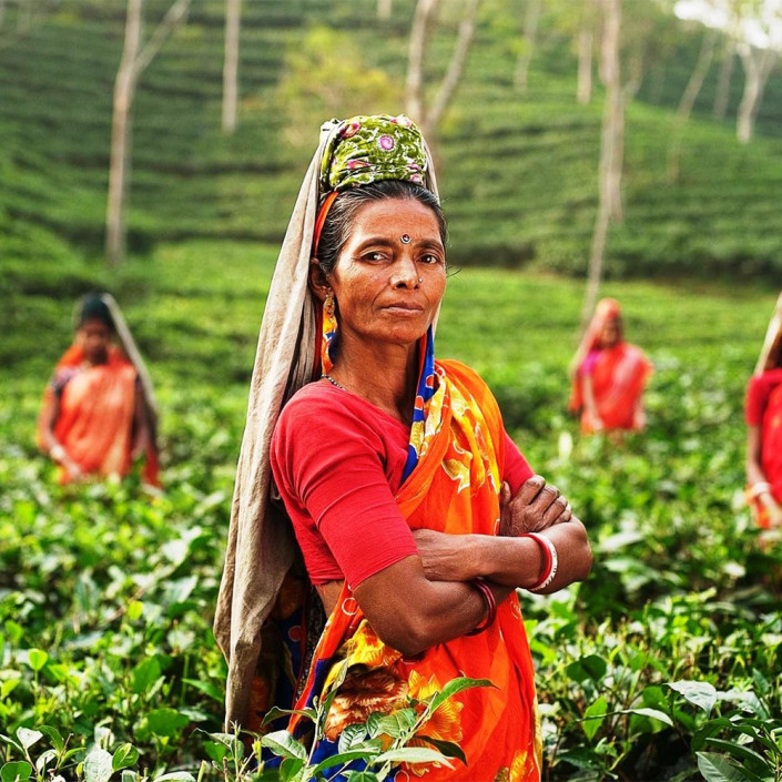 India-destacada