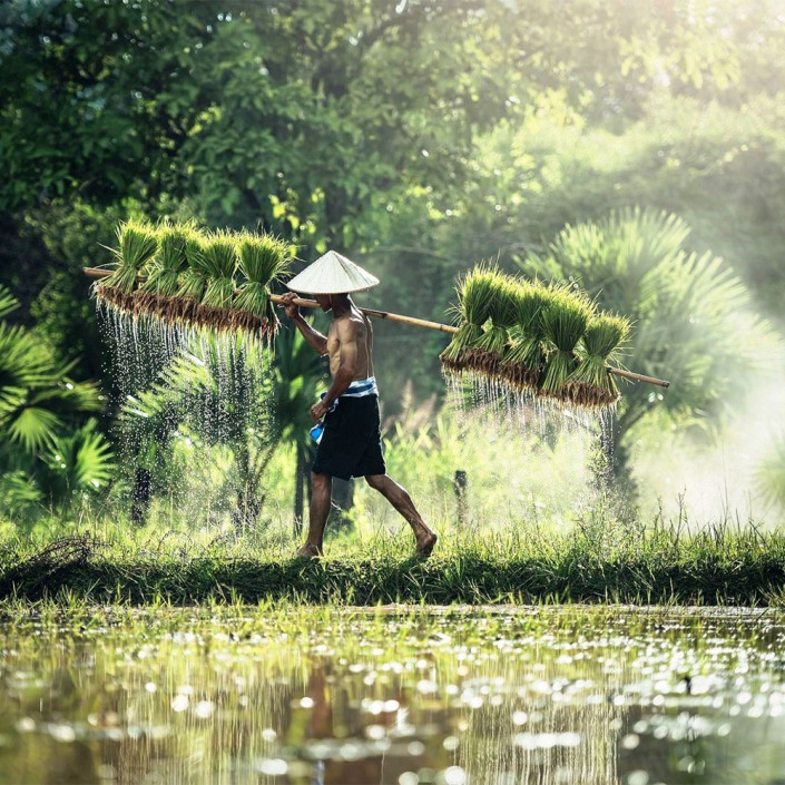 Indonesia-destacada