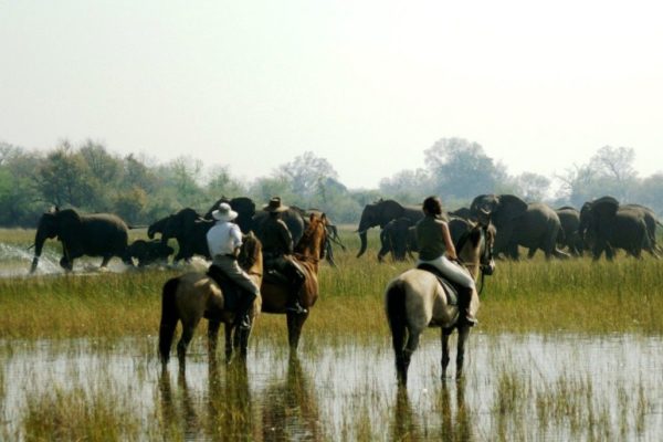 Delta-Okavango-1-1030x733-1
