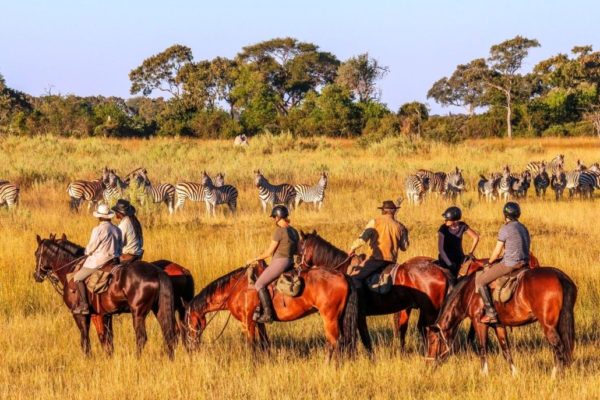 Delta-Okavango-4-1030x733-1