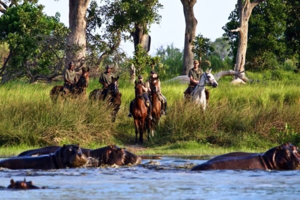 Delta-Okavango-6-1030x733-1