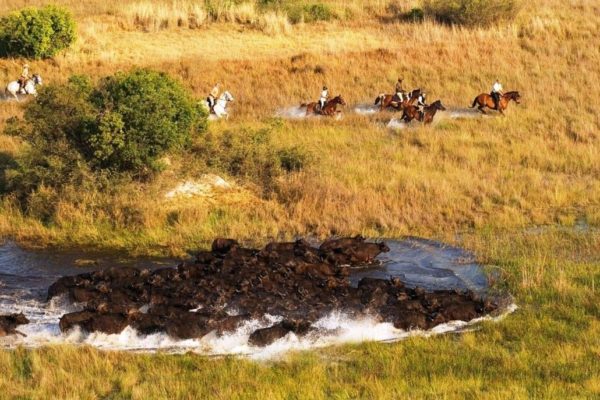 Delta-Okavango-8-1030x733-1